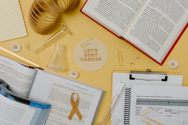 What role does the NHS play in UK public health education?